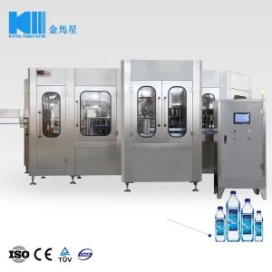 Pure Water Complete Processing Plant